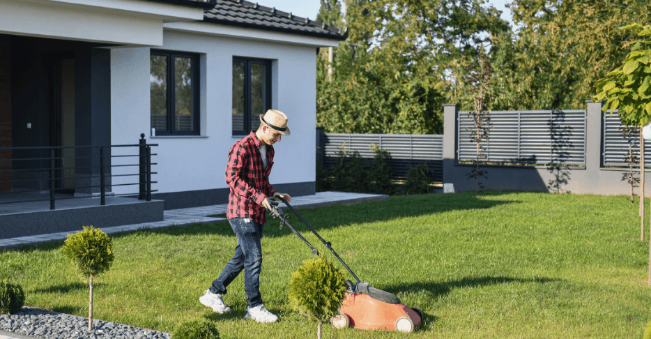 Two weeks to go - Lawns, garden beds and hedges