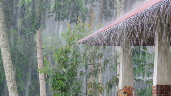 260603_public_storm_damage