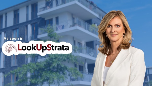 260828_public_lookupstrata_fin_year