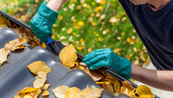 gutter_cleaning_man_leaves452176431 (1)